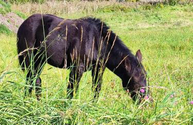 DOMKI KOLOROWE - Foto 75