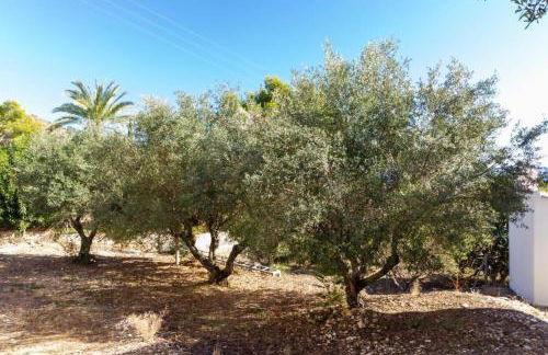 Chalet Los Olivos con piscina - Foto 2