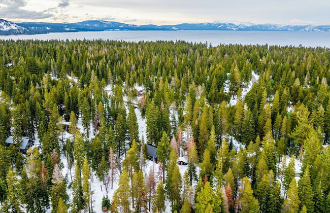 Indigo Owl by Avantstay Cabin w Firepit Minutes to Lake Slopes - Photo 5