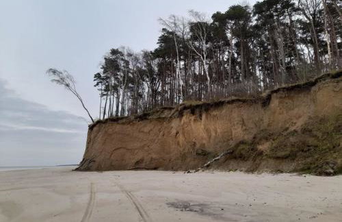 Apartamenty Pod Debem (Ferienwohnungen an der uralten Eiche) - Foto 26