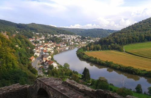 FeWo Am Neckarsteig - Foto 14