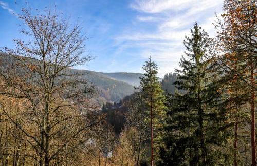 Ferienhaus Weise - Foto 3