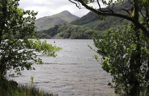 Llys Elen - Photo 52