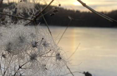 Das Seehaus Buckow - Foto 36