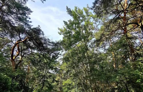 Plażowa Park Apartamenty - Foto 33