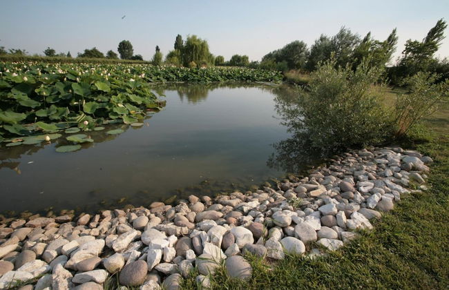 Villa Casa Country - Foto 55