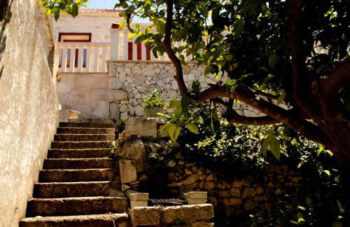 House Zrno - Foto 19