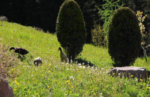 Apartments Dolina - Foto 23