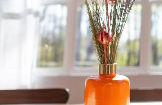 Applewood Ridge Guest Rental - Foto 13