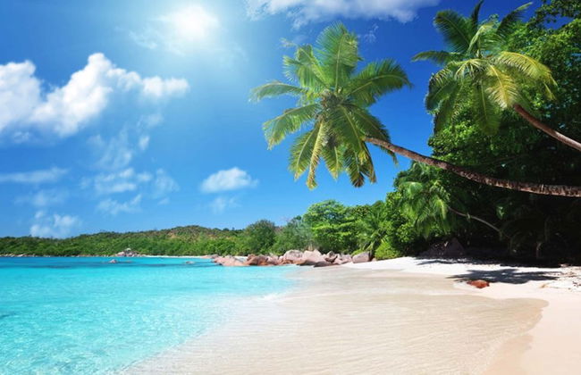 Cassia Bintan, part of Banyan Group - Foto 46