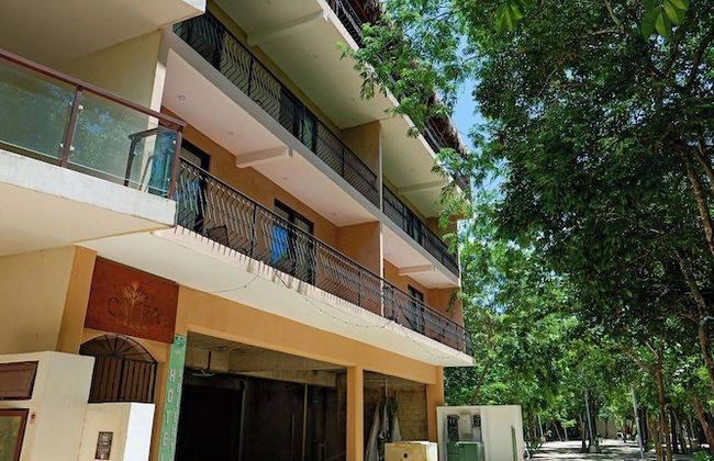 Calea Tulum - Photo 77