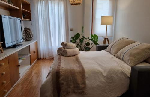 Salamanca Rentals - Apartamento con terraza a 1 minuto de la Plaza Mayor - Foto 28