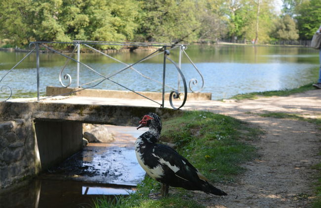 Podere delle Fanciulle - Foto 38