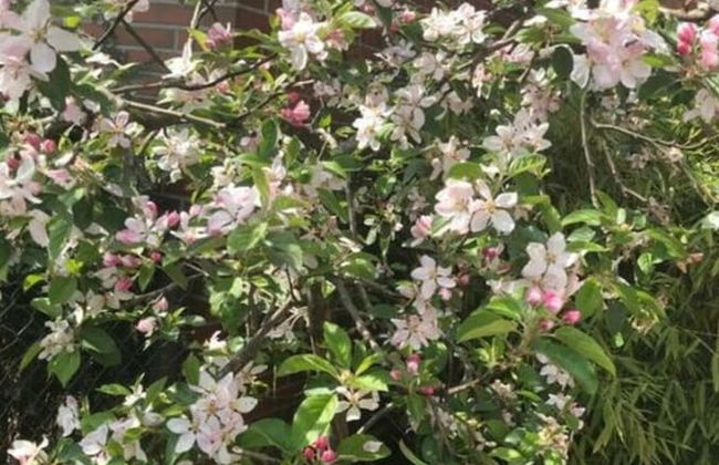 Holiday Apartment Summer Breeze - Foto 33