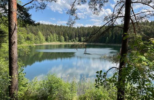 Domek wypoczynkowy Letnisko Sosenkowo - Foto 70