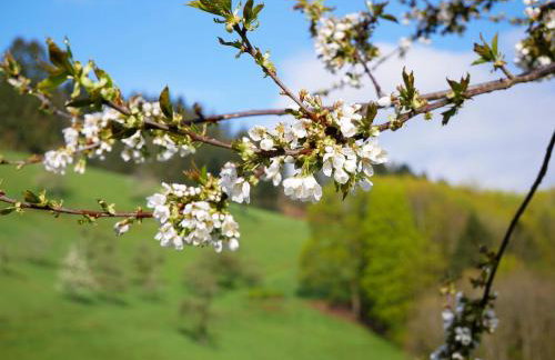 Bühlbauernhof - Foto 13