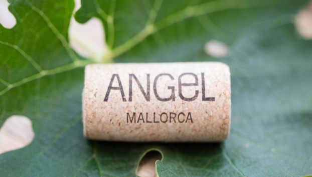 Visit Bodegas Angel with Wine Tasting - Photo 3