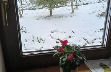 Domek Raszówka - Foto 8