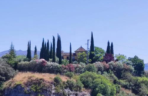 Andalusian experience - Foto 63