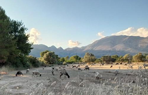 Asteri Apartments Mytikas 2-Bedroom Seaview Courtyard - Foto 39