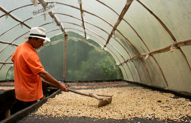 Luum Glamping by Roots Rentals - Photo 56