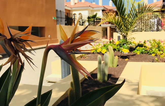 La Casa Canaria - Foto 40