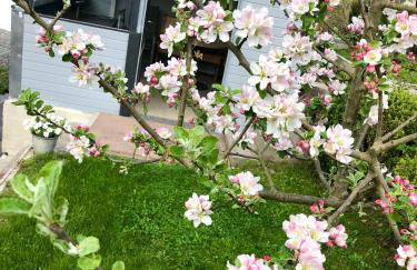 Ferienwohnung Seerose - Foto 3