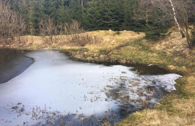 House in Bohemian Near Ski Slope - Foto 28