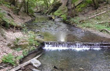 Ferienwohnung Adelheid Brachtendorf - Foto 19
