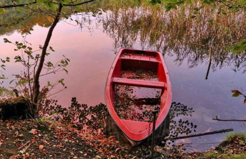 Ferienhaus Boitzenburger Land - Foto 24