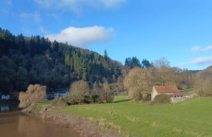 Walker's Rest - Photo 12