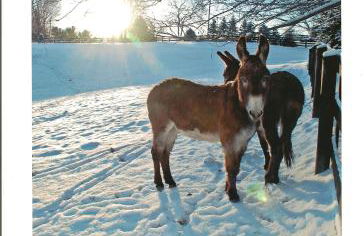 Villa Maud - Foto 49