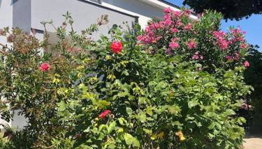 Apartman Milazzi, fully air-conditioned - Foto 2, Garden view