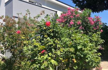 Apartman Milazzi, fully air-conditioned - Foto 2