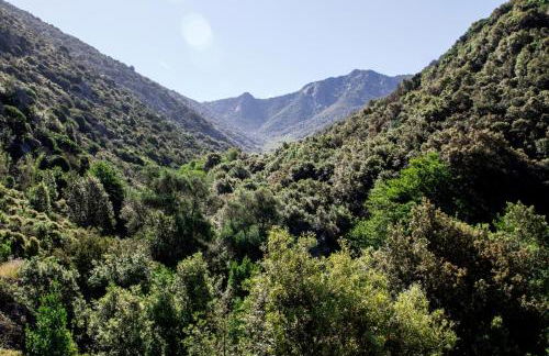 L' Elicriso - Foto 35