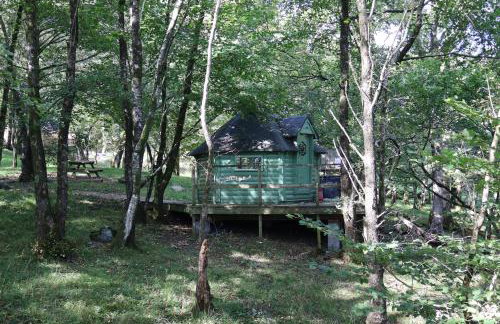 Tree Top Cabin with Private Hot Tub - Foto 1
