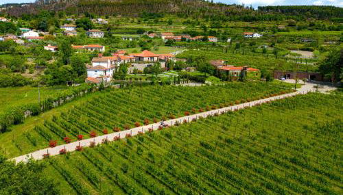 Lavandeira Douro Nature & Wellness - Foto 4