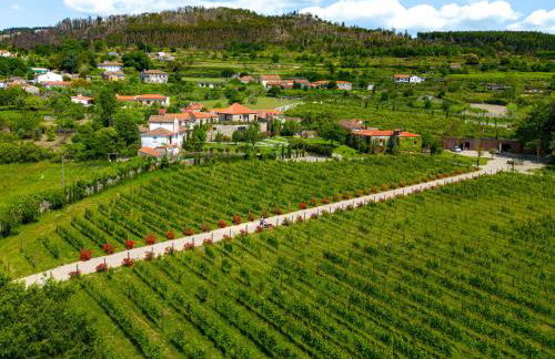 Lavandeira Douro Nature & Wellness - Foto 4