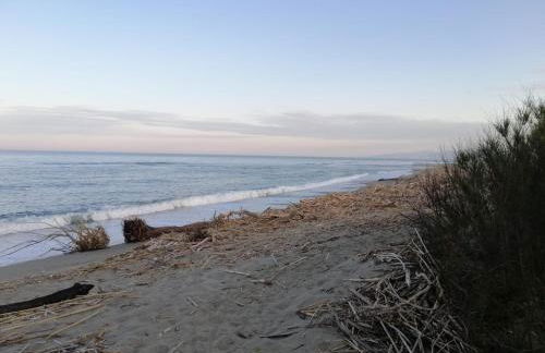 Appartements dans résidence Avec piscine - Mer à 500m - Foto 12