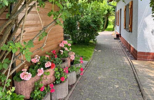 Ferienhaus Das Häuschen - Photo 13