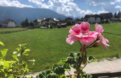 Luxury panoramic apartment Plan de Corones - Photo 52