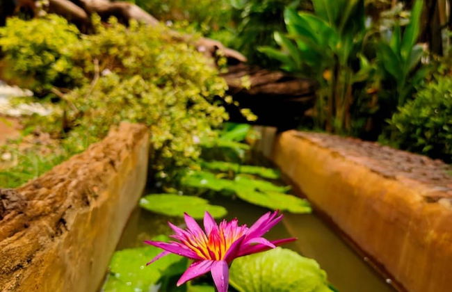 Flora Land Resort Chiang Mai - Foto 36