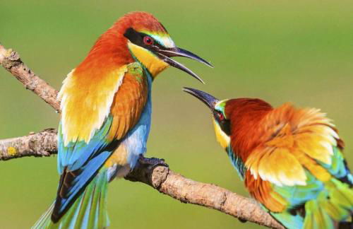 Im Herzen des Kraichgaus 1 - Foto 28