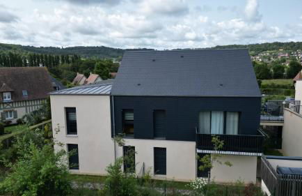 Le colibri - Photo 18