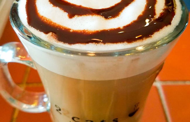 Historic 2 Cats Inn - Photo 14