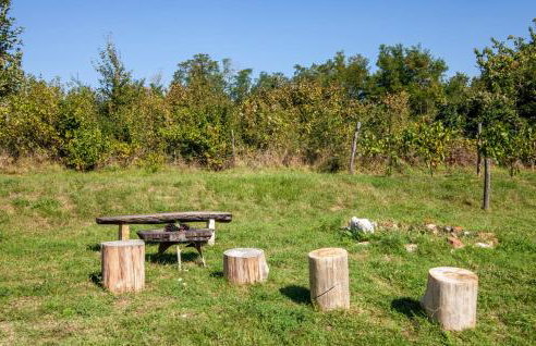 House Raul 1974 - Foto 51