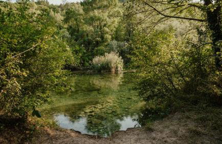 Mini stone house - Foto 40