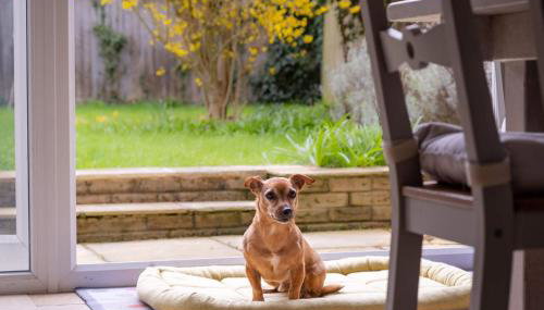 Sway Corner - Foto 2