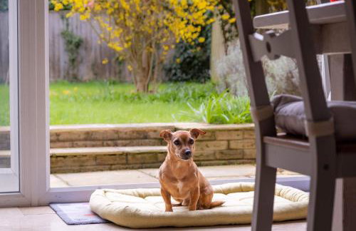 Sway Corner - Foto 2