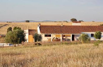 Monte do Arneiro - Foto 71